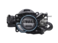 OEM-2L8Z9E926AA,2L8Z9E926BB,2M5Z9E926AA,2M5Z9E926BA,CARDONE-671003-Automobile Throttle Body